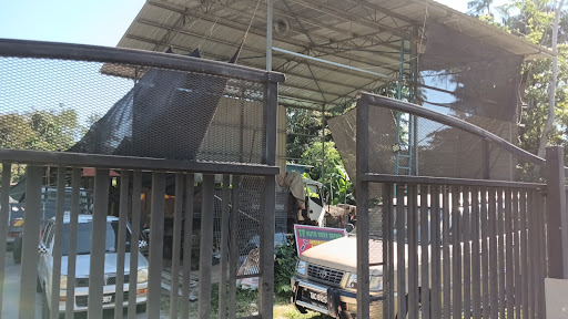 TF Auto Body Repair