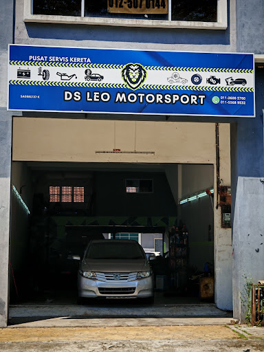 DS LEO MOTORSPORT