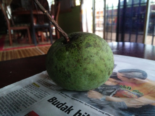 Pusat Kelinik Kenderaan Fatt Fatt