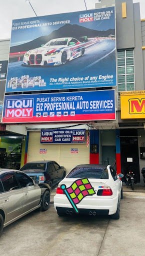 EIZ PROFESIONAL AUTO SERVICES