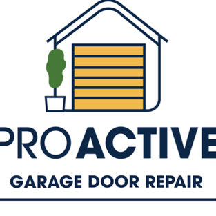 pro active garage